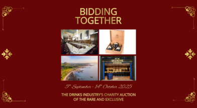Photo of Bidding Together Auction