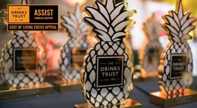 The Golden Pineapples Awards in association with VinLog