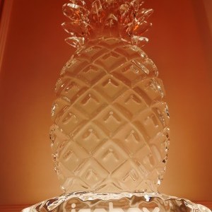 Event image 12